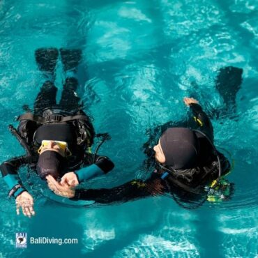 Beginner Scuba Diving