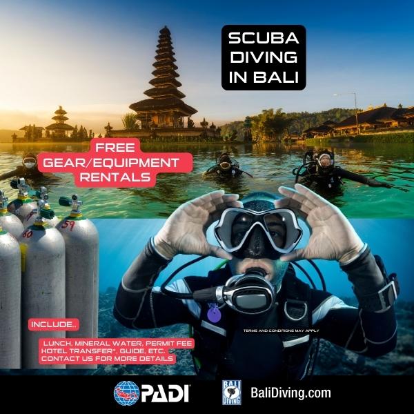 Bali's Oldest Dive Center