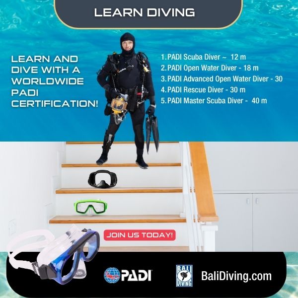 Learning PADI Scuba Diving