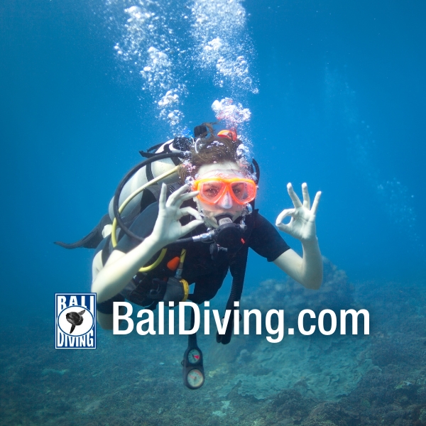 Scuba Diving in Bali from October to December: A Tranquil and Exclusive Experience